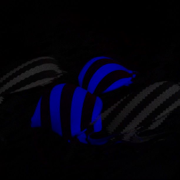 vanessa.julienne instagram image archive image