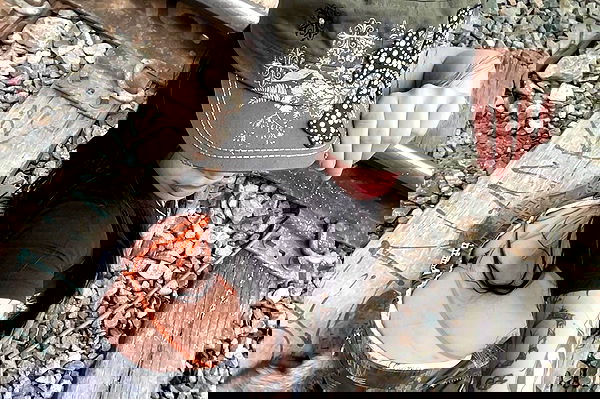 vanessa.julienne image ~ Altpins