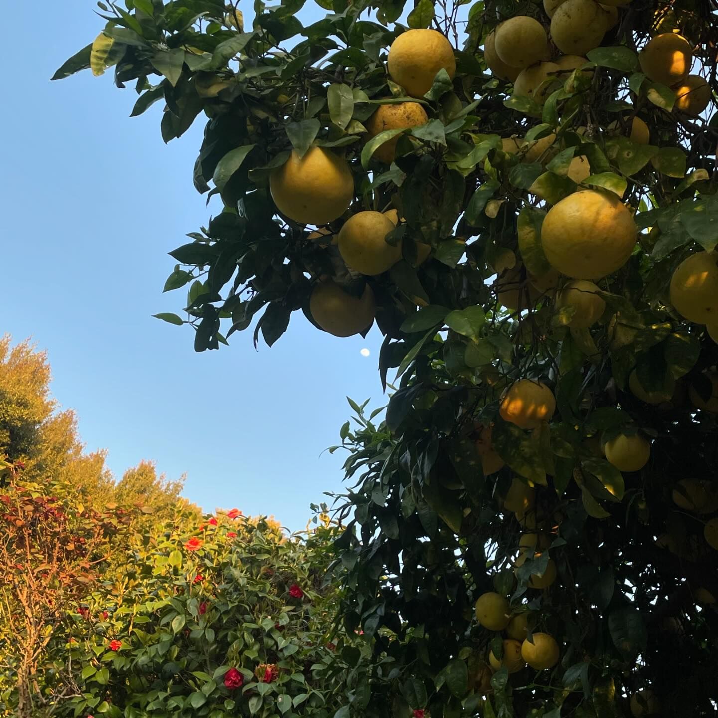 vanessa.julienne instagram image archive image