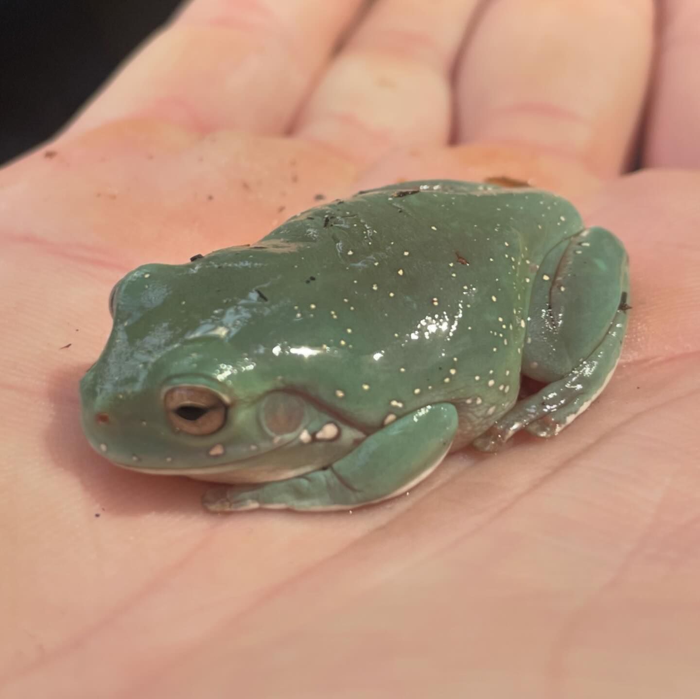 vanessa.julienne instagram image archive image