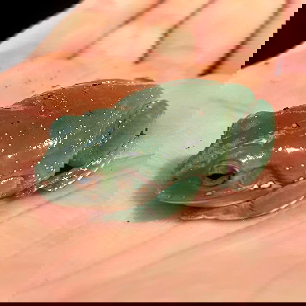 vanessa.julienne image ~ Altpins