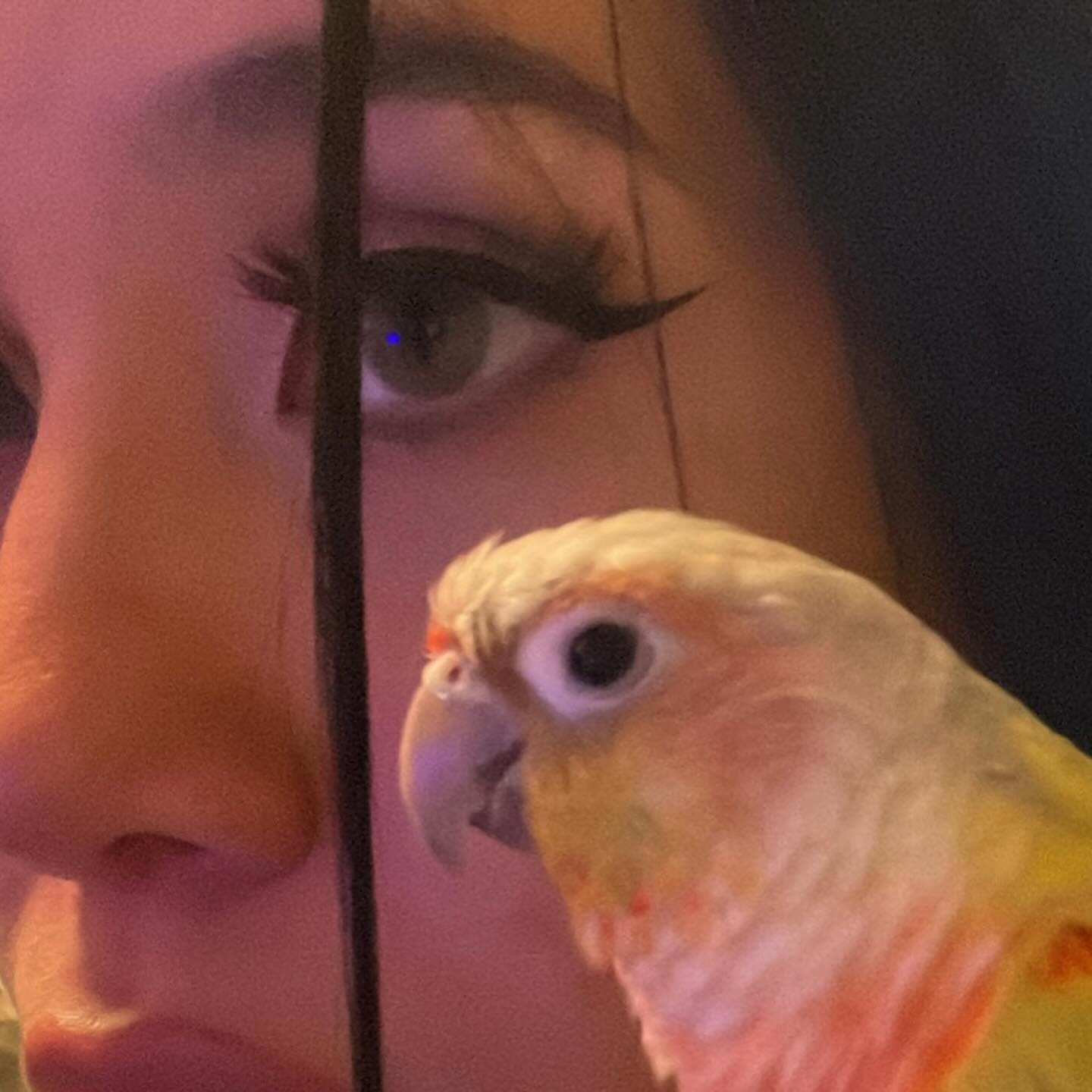 vanessa.julienne instagram image archive image