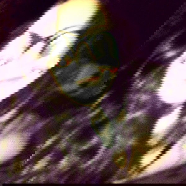 vanessa.julienne image ~ Altpins