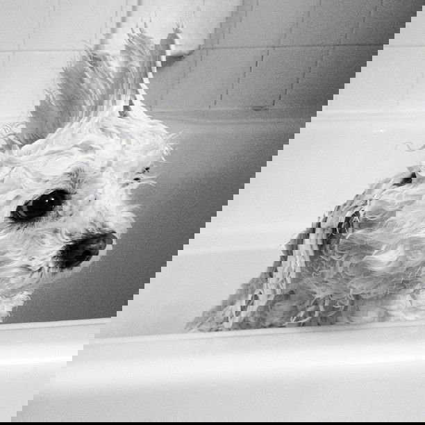 vanessa.julienne instagram image archive image