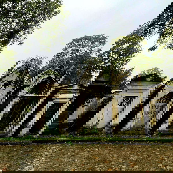 vanessa.julienne image ~ Altpins