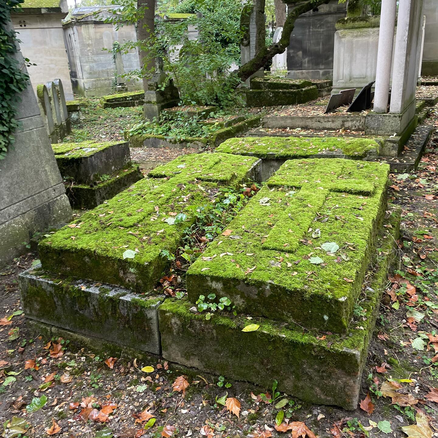 vanessa.julienne instagram image archive image