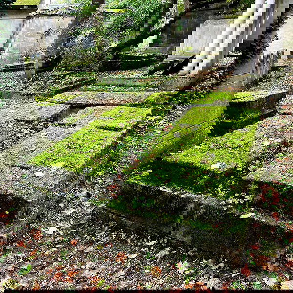 vanessa.julienne image ~ Altpins