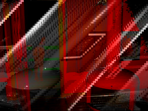 vanessa.julienne image ~ Altpins