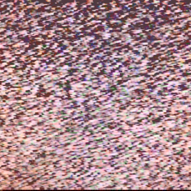 vanessa.julienne instagram image archive image