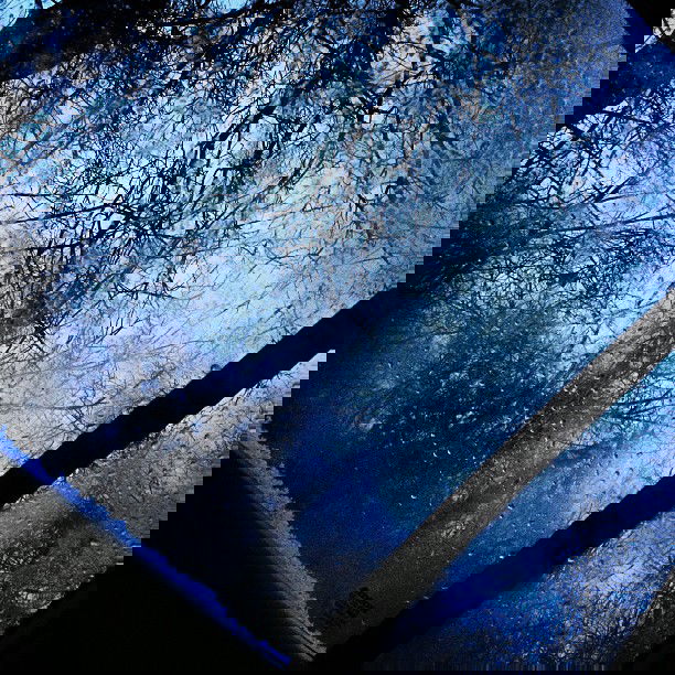 vanessa.julienne instagram image archive image