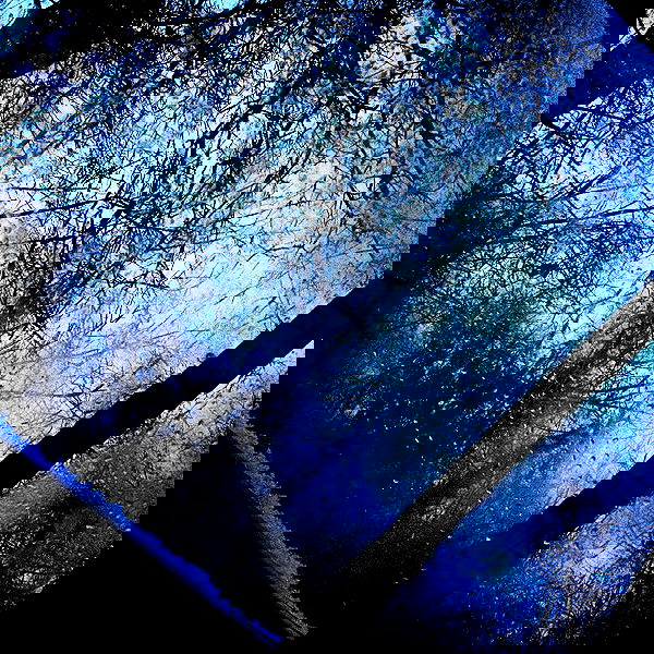 vanessa.julienne image ~ Altpins