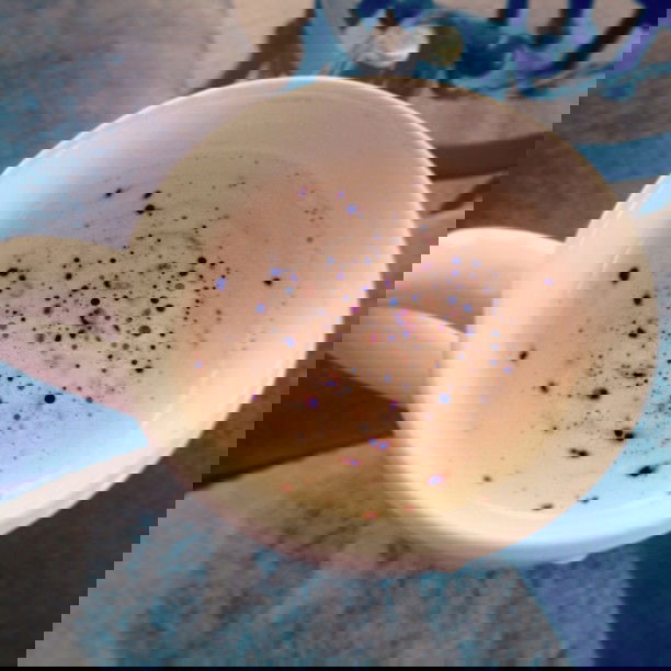 vanessa.julienne instagram image archive image