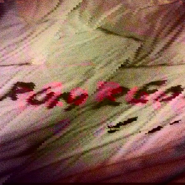 vanessa.julienne image ~ Altpins