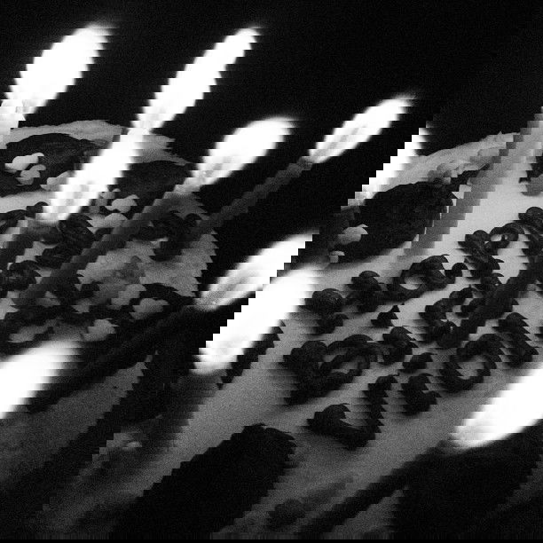 vanessa.julienne instagram image archive image