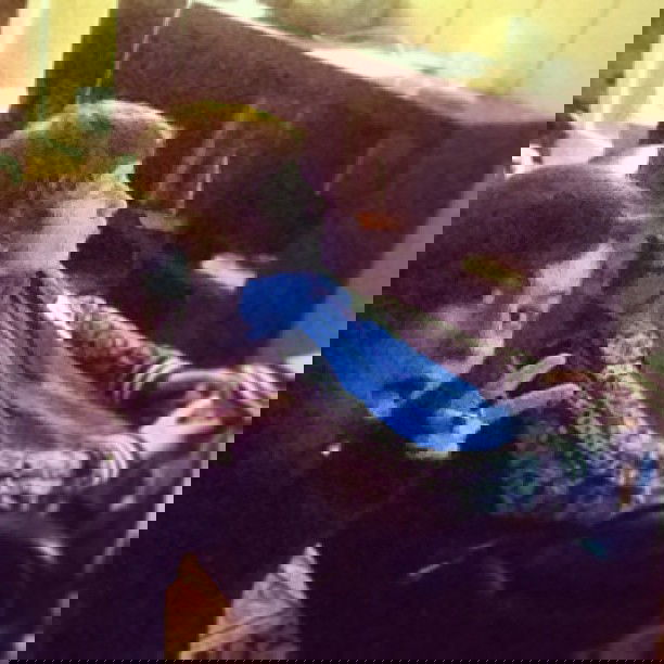 vanessa.julienne instagram image archive image