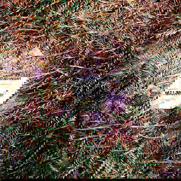 vanessa.julienne image ~ Altpins