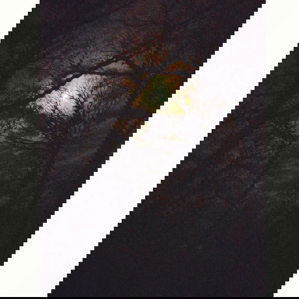 vanessa.julienne instagram image archive image