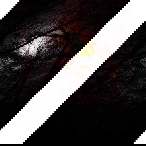 vanessa.julienne image ~ Altpins