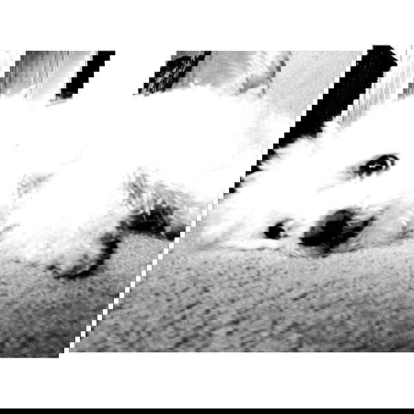 vanessa.julienne image ~ Altpins