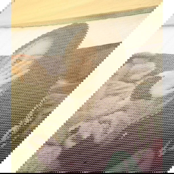 vanessa.julienne instagram image archive image