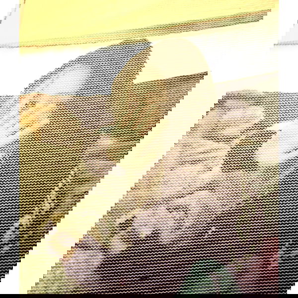 vanessa.julienne image ~ Altpins