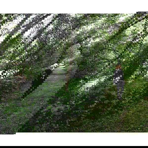 vanessa.julienne image ~ Altpins