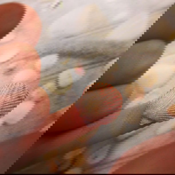 vanessa.julienne instagram image archive image