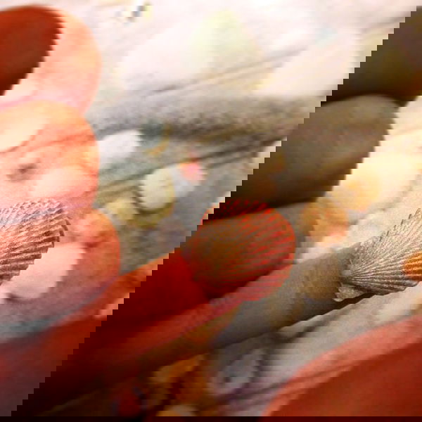 vanessa.julienne image ~ Altpins