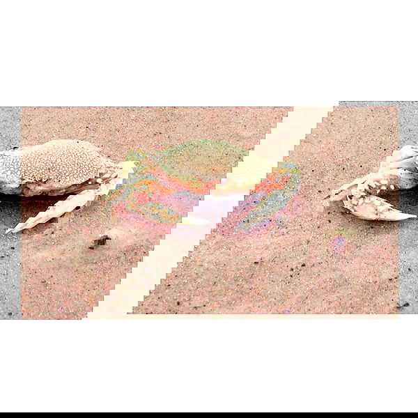 vanessa.julienne image ~ Altpins