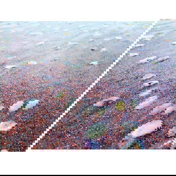 vanessa.julienne instagram image archive image