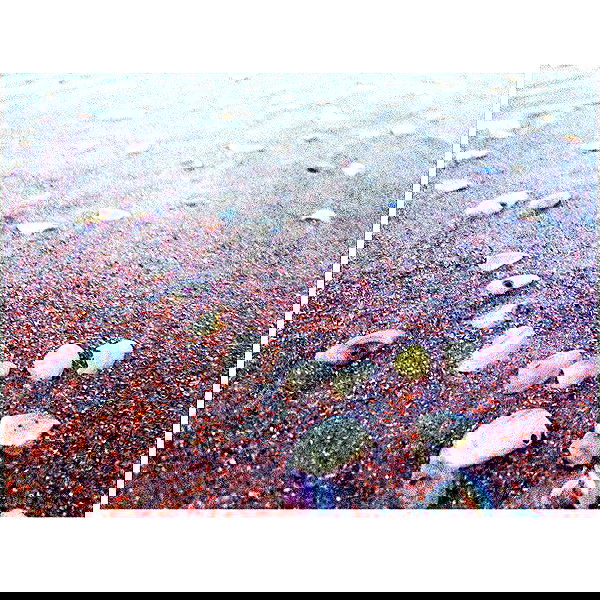 vanessa.julienne image ~ Altpins