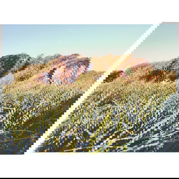 vanessa.julienne instagram image archive image