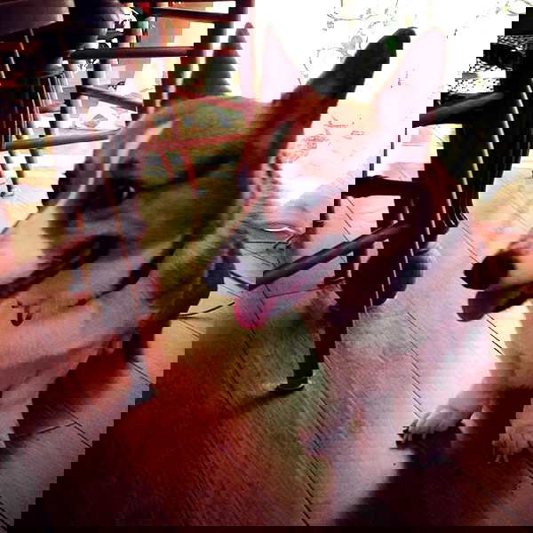 vanessa.julienne image ~ Altpins