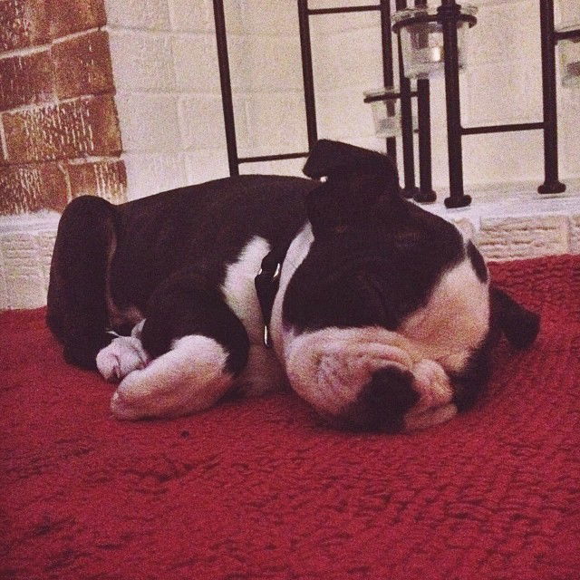 vanessa.julienne instagram image archive image