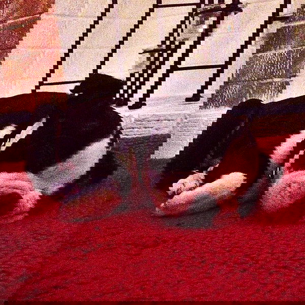 vanessa.julienne image ~ Altpins