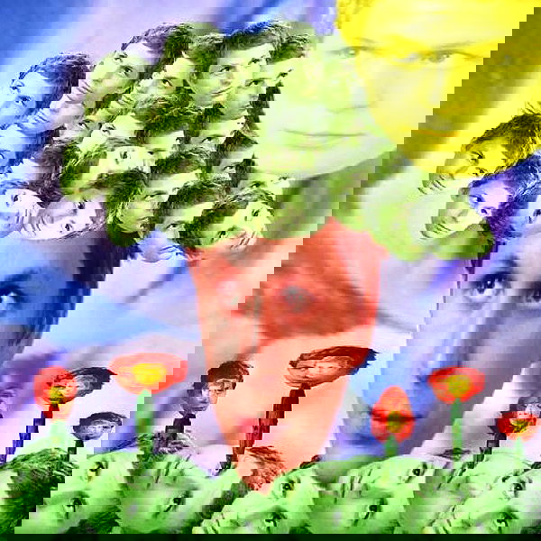 vanessa.julienne image ~ Altpins