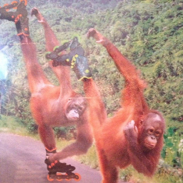 vanessa.julienne instagram image archive image