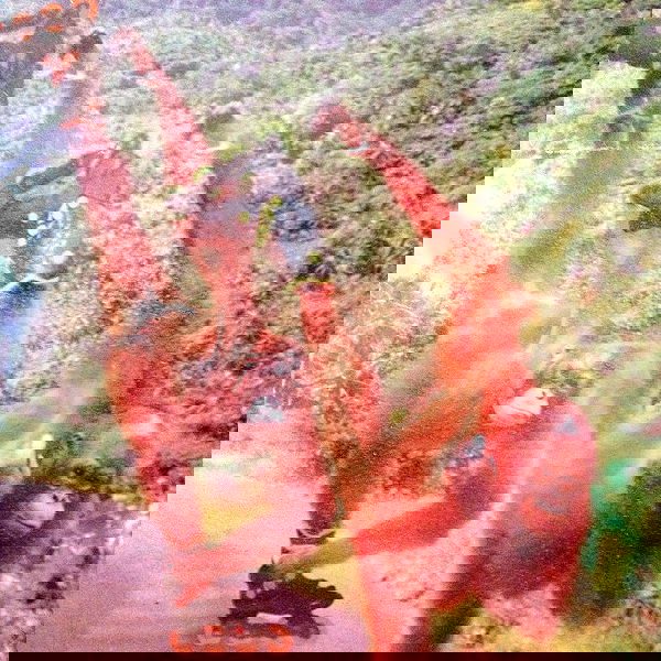 vanessa.julienne image ~ Altpins