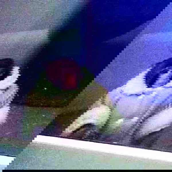 vanessa.julienne image ~ Altpins