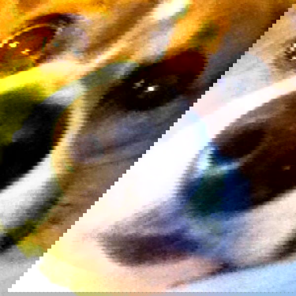 vanessa.julienne image ~ Altpins