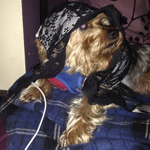 vanessa.julienne instagram image archive image