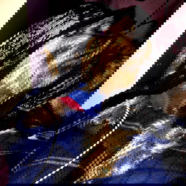 vanessa.julienne image ~ Altpins