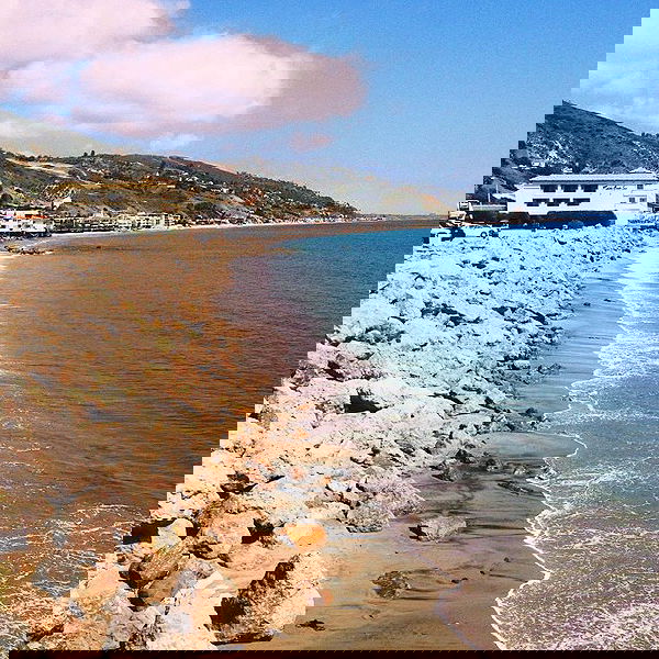 vanessa.julienne image ~ Altpins