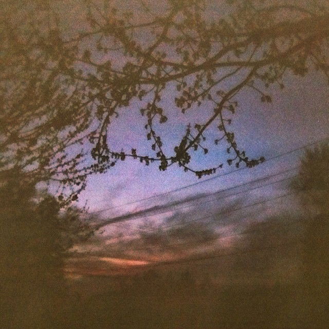 vanessa.julienne instagram image archive image