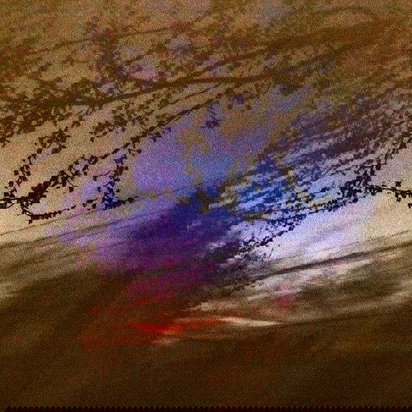 vanessa.julienne image ~ Altpins