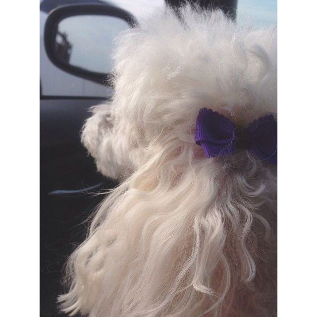 vanessa.julienne instagram image archive image