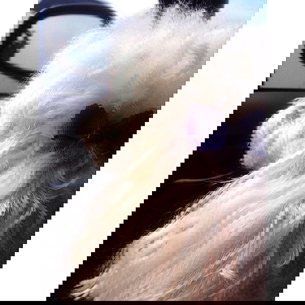 vanessa.julienne image ~ Altpins