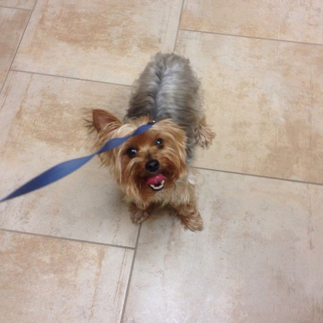 vanessa.julienne instagram image archive image