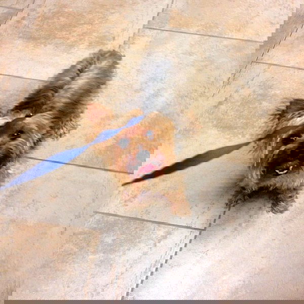 vanessa.julienne image ~ Altpins