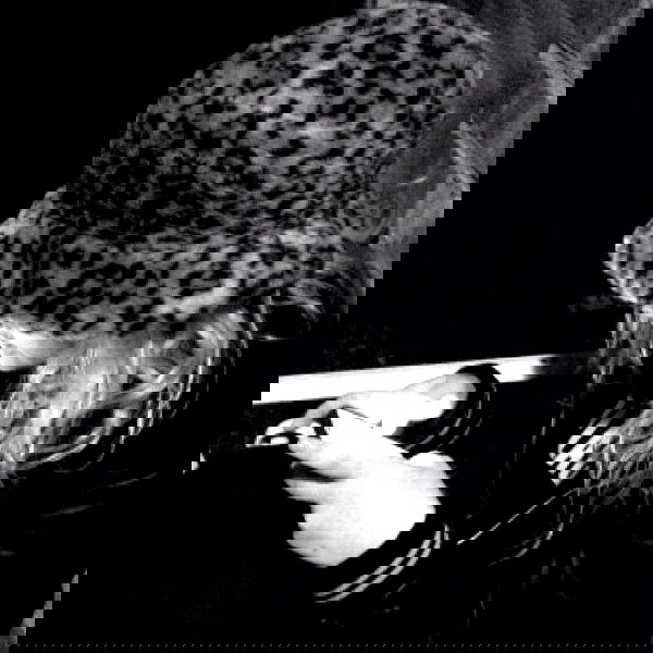 vanessa.julienne image ~ Altpins